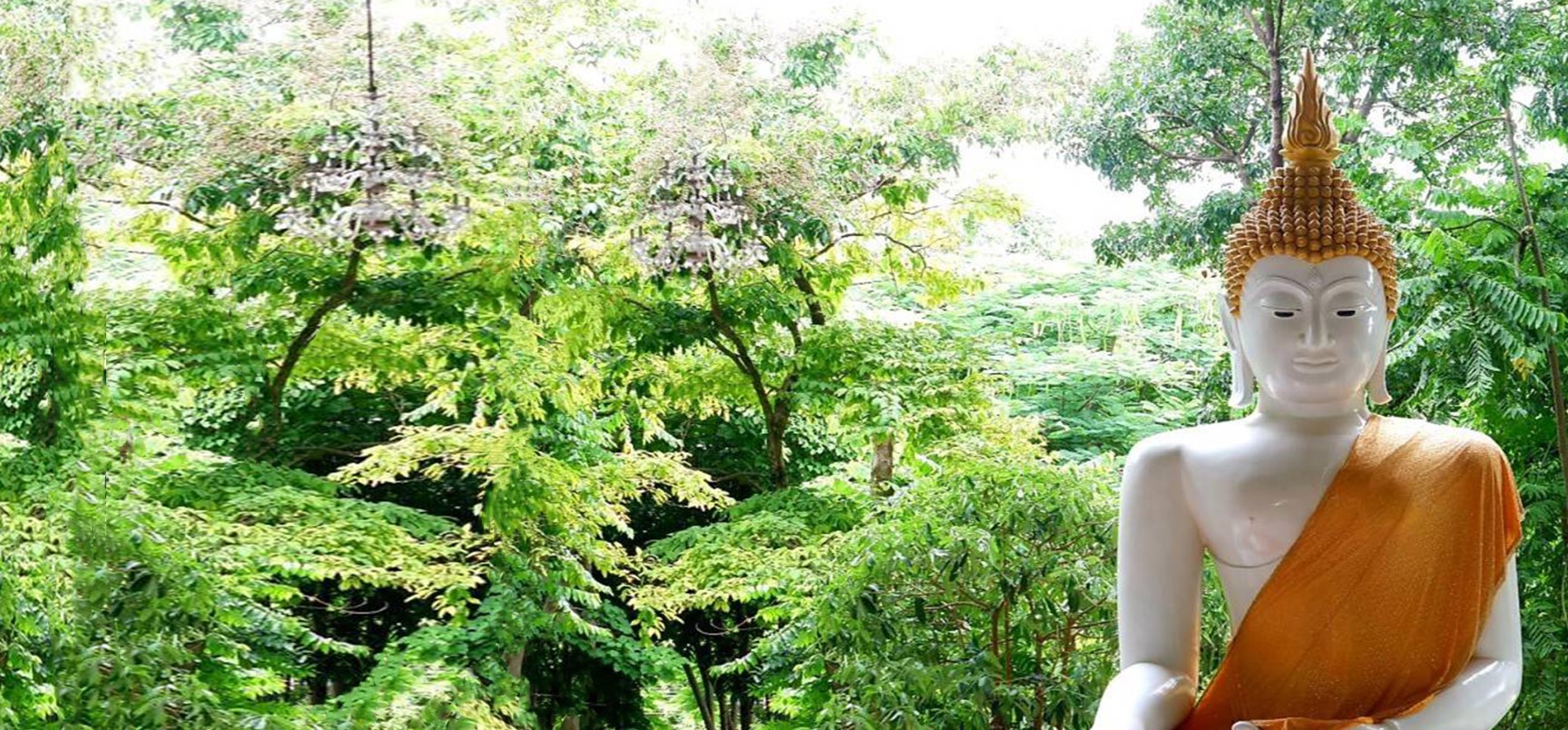 Mahajula Asram Landscape